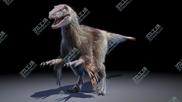 images/goods_img/20210312/3D model Velociraptor/3.jpg